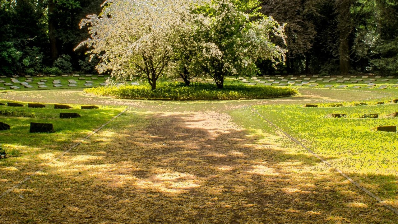 Affordable Landscaping Solutions for Low-Maintenance Gardens in South Africa