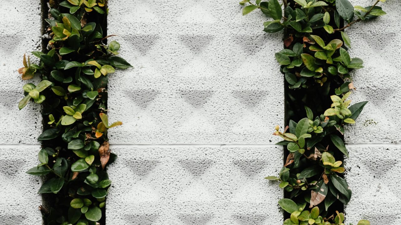 Low-Maintenance Garden Ideas for Busy Homeowners in South Africa