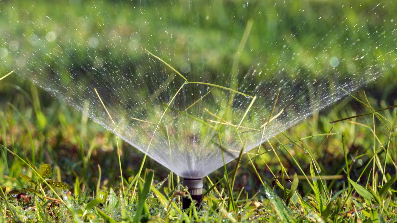 Smart Irrigation Systems Saving Water and Supporting Gardens in South Africa