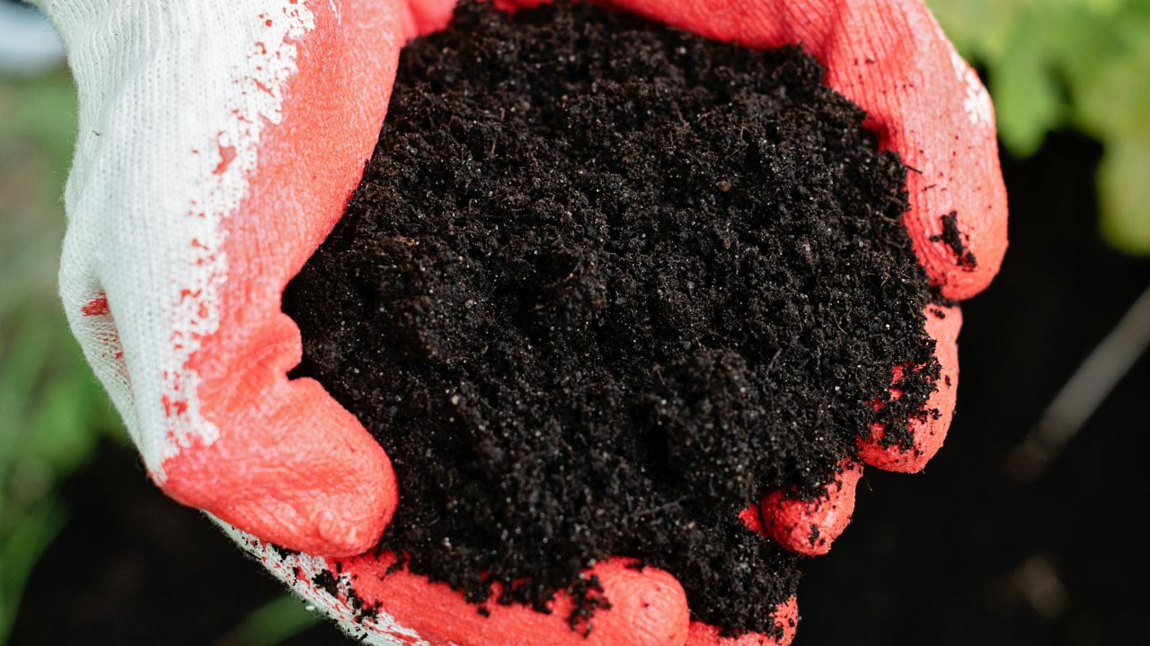 Water-Wise Gardening Smart Tips for Thriving in Drought Conditions